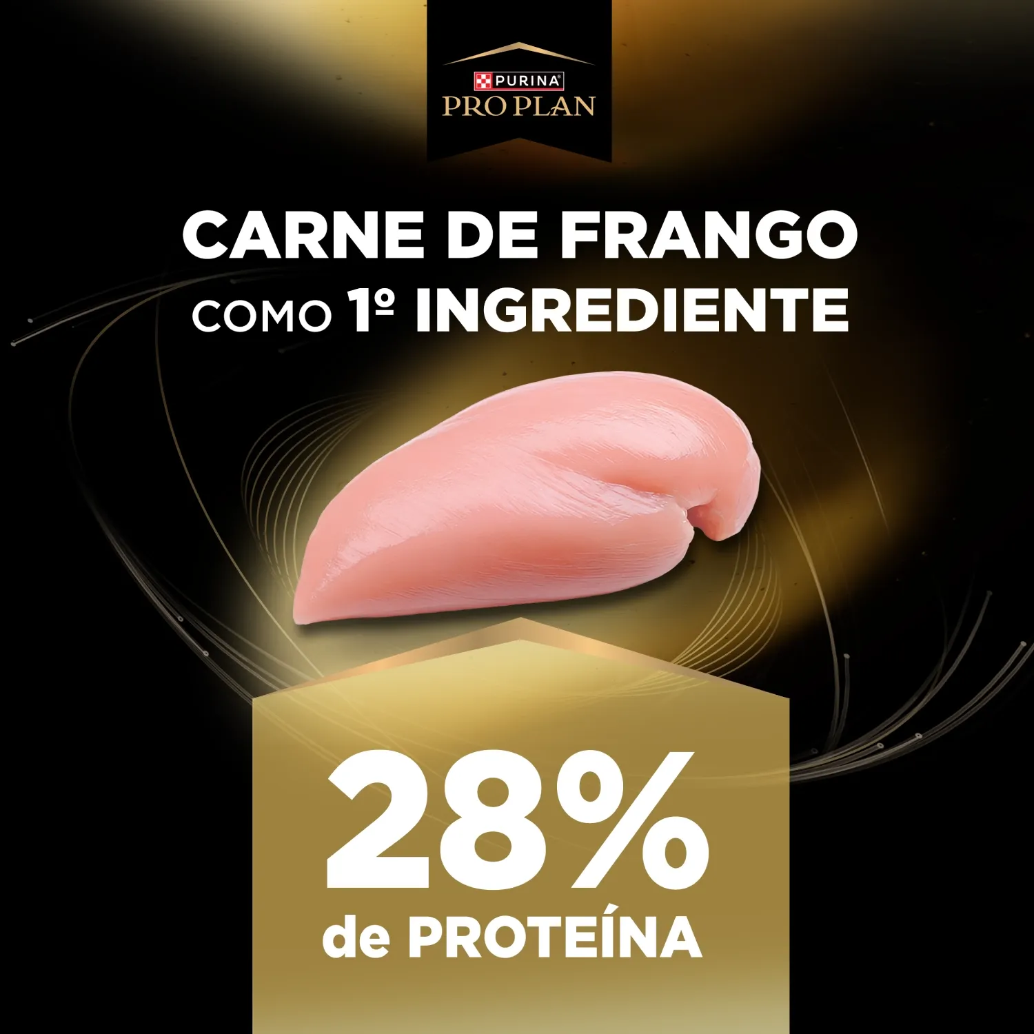 Racao Pro Plan Long Excep Caes Senior 7+ Medio e Grande  ingrediente-03
